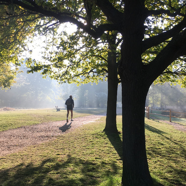 The loneliness of the socially distanced runner. Photo: Al Cassels