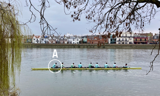 The Cambridge rowing team practising on the Thames. Photo: Alastair Cassels