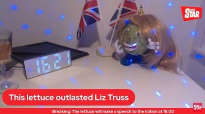 A screenshot from the Daily Star livestream "Can Liz Truss outlast a lettuce?"