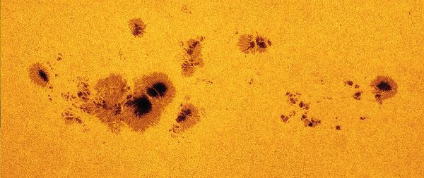 A large group of sunspots stretching about 320,000 km across. Photo: NASA